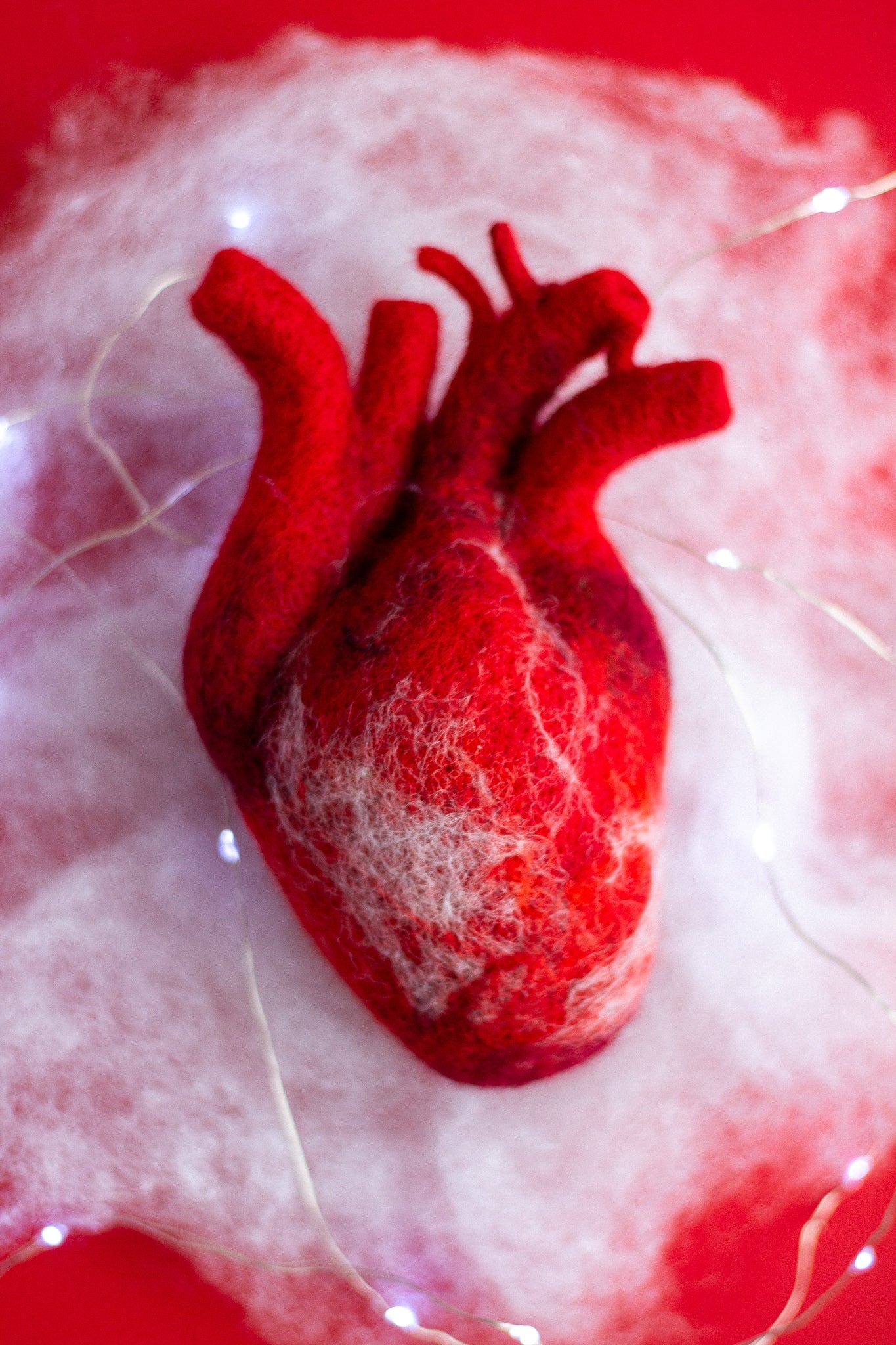 Anatomical heart Valentines day gift - WoollyFox