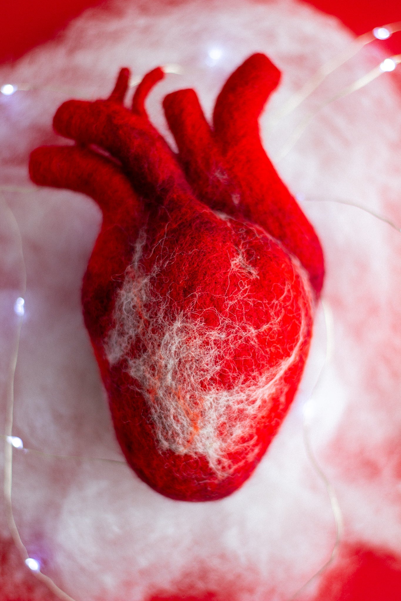 Anatomical heart Valentines day gift - WoollyFox