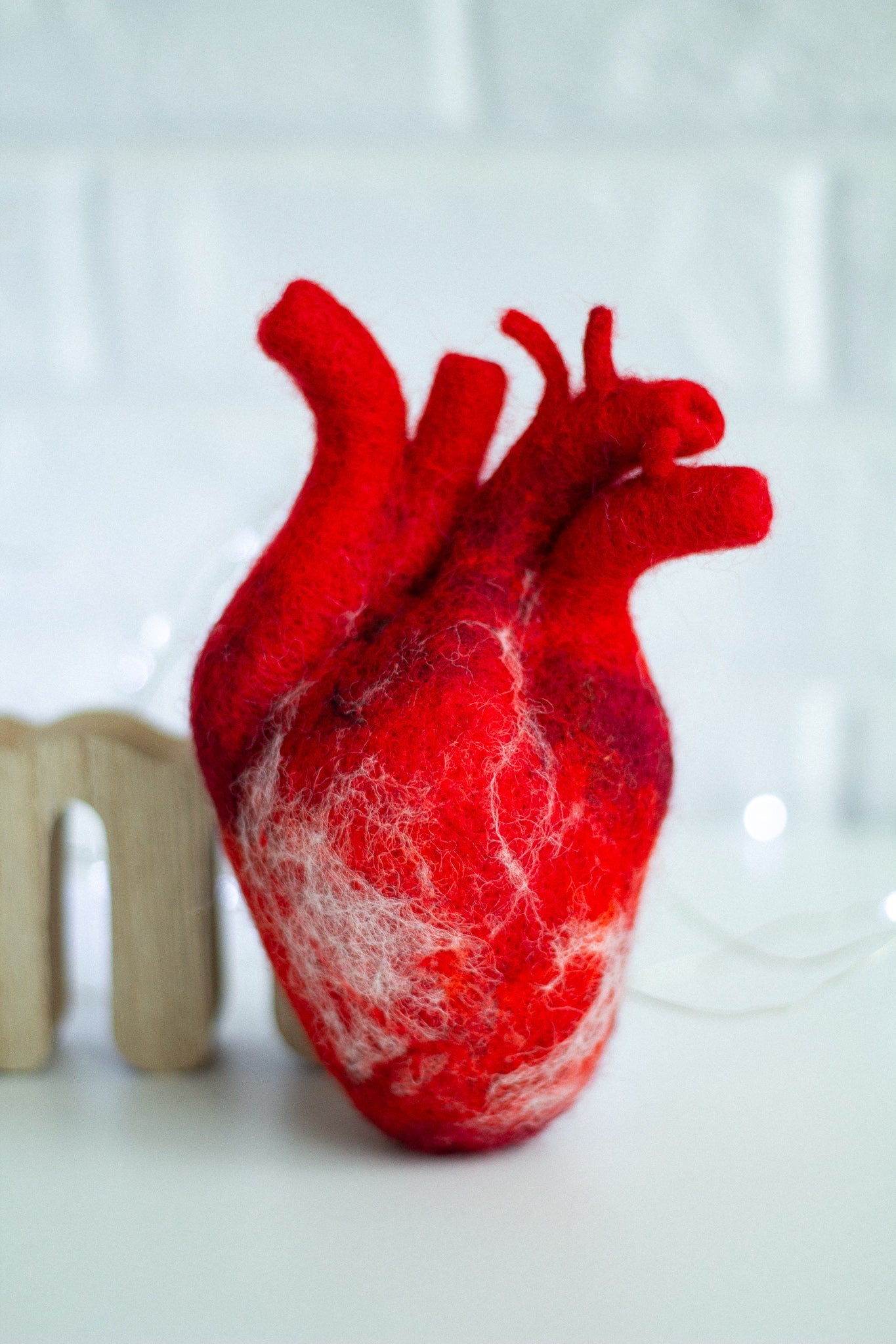 Anatomical heart Valentines day gift - WoollyFox