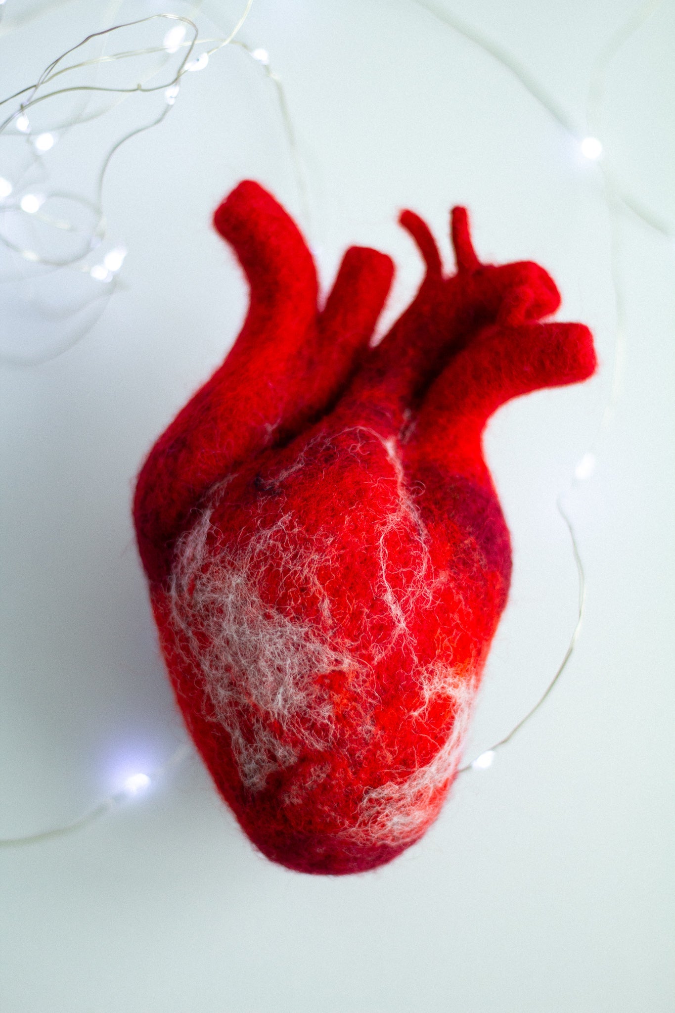 Anatomical heart Valentines day gift - WoollyFox