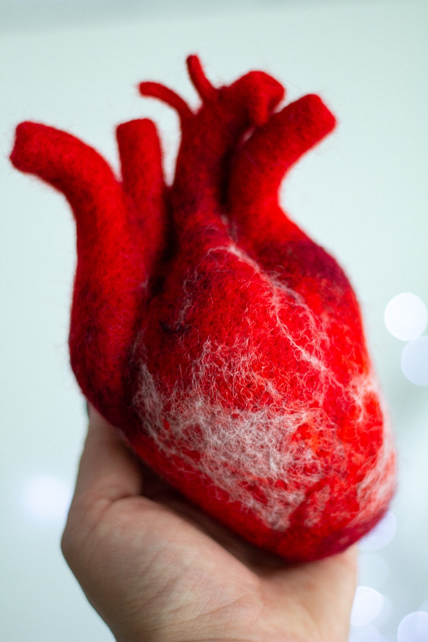 Anatomical heart Valentines day gift - WoollyFox