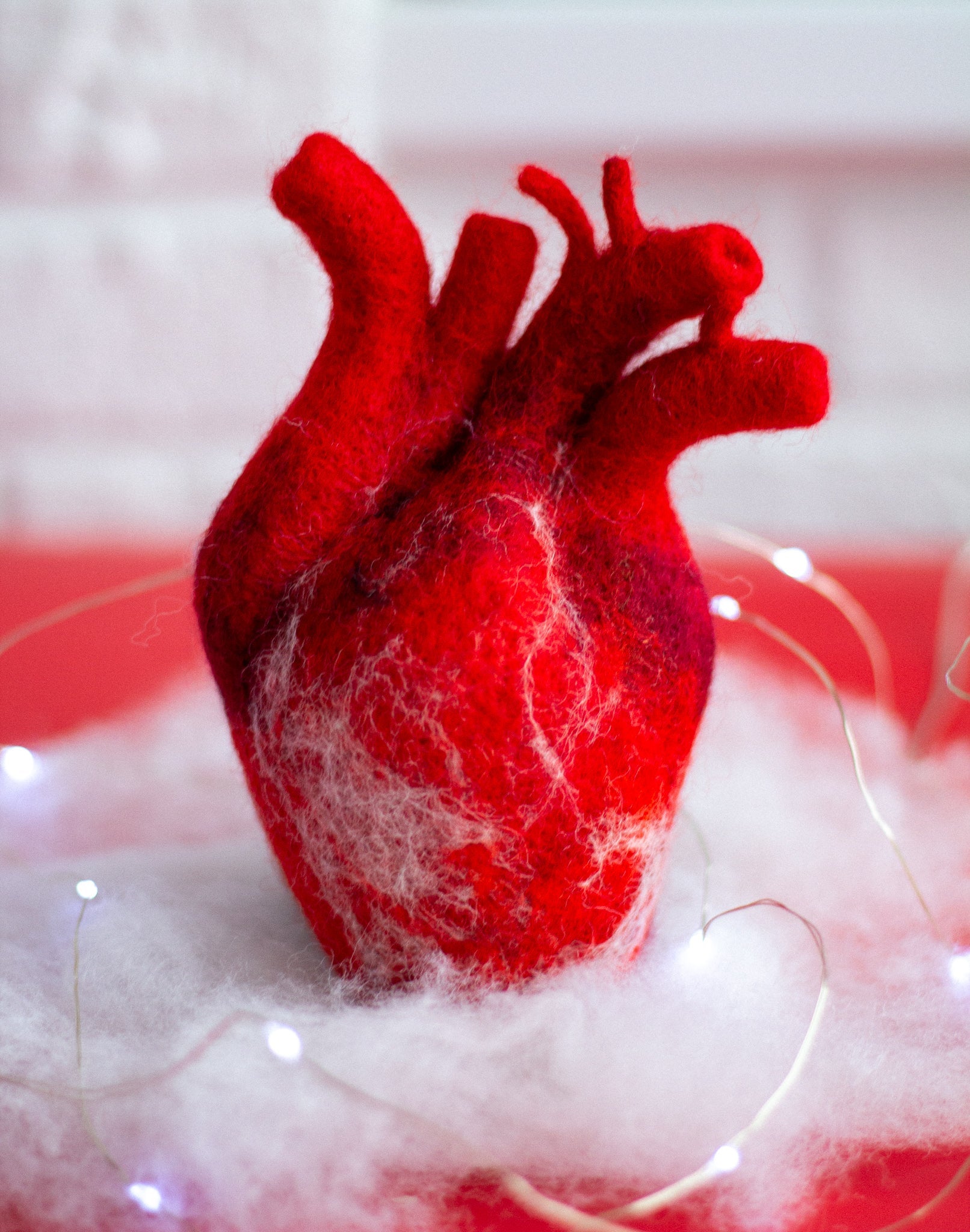 Anatomical heart Valentines day gift - WoollyFox