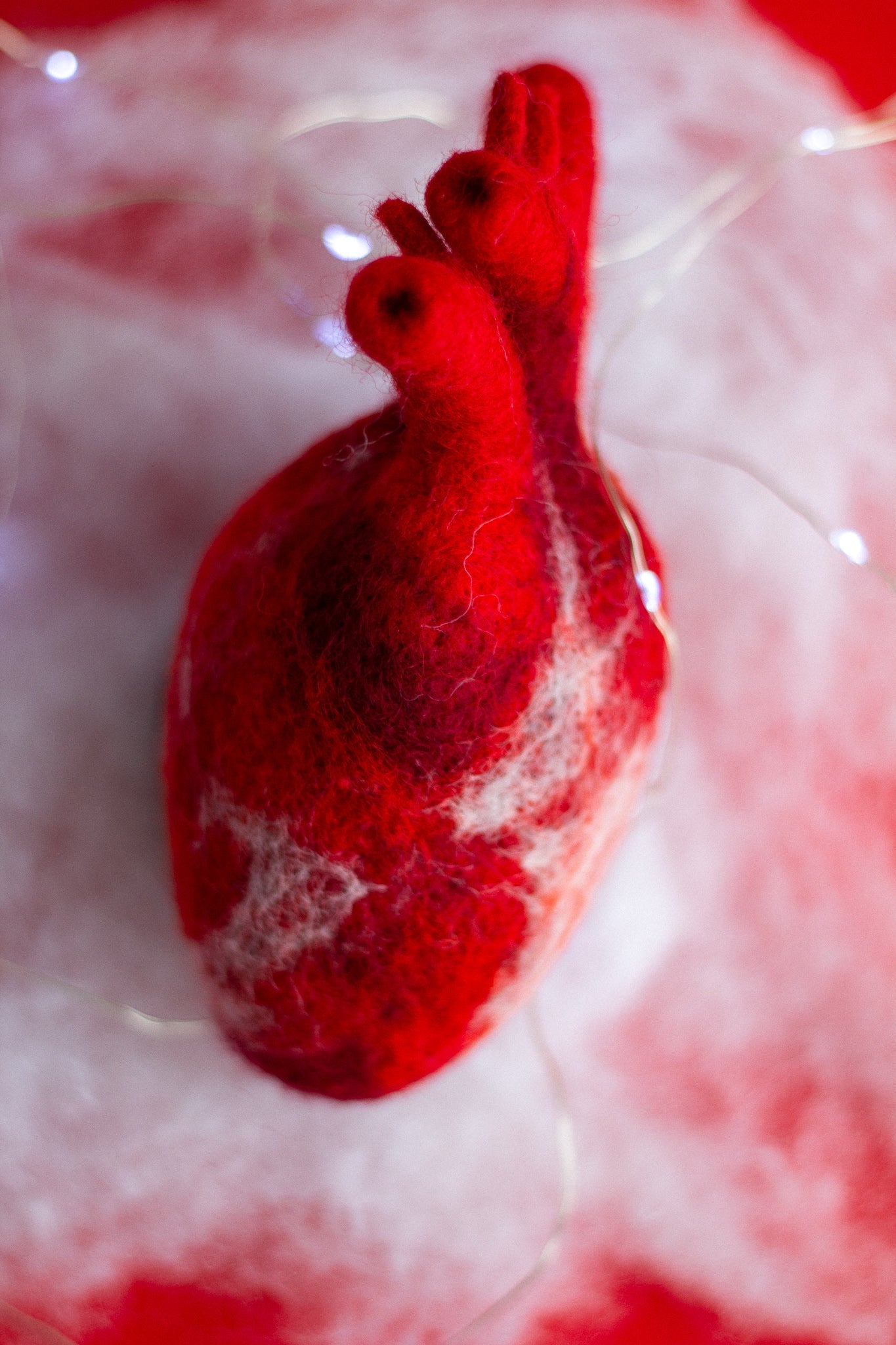 Anatomical heart Valentines day gift - WoollyFox