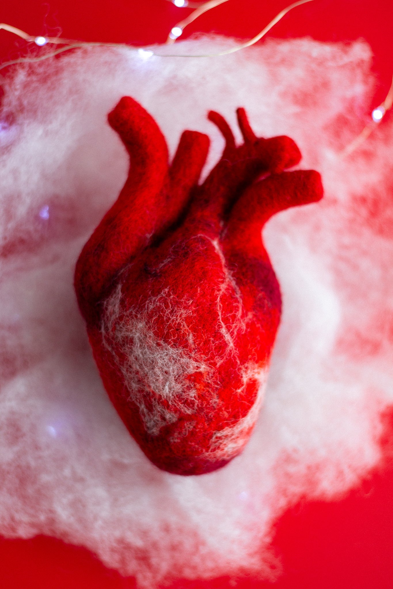 Anatomical heart Valentines day gift - WoollyFox