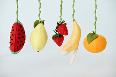 Fruit Baby Gym Toy Set – Felt Hanging Toys with Wooden Rings - WoollyFox