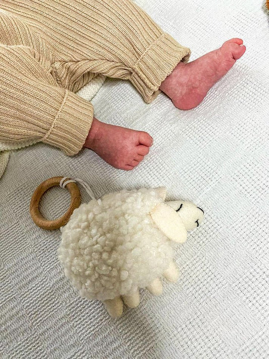 Top 10 Newborn Gift Ideas that Parents Will Love - WoollyFox