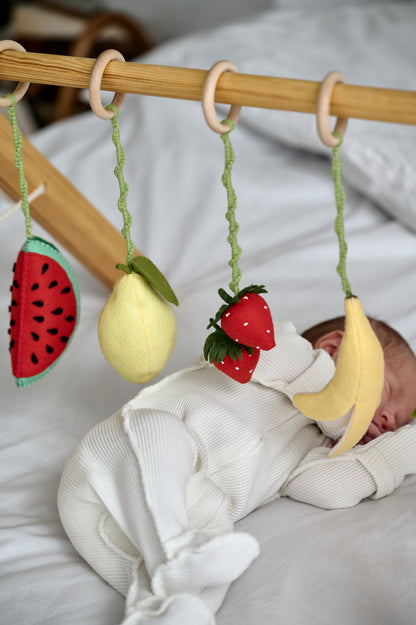 Fruit baby play set on wooden gym frame – eco Montessori toys