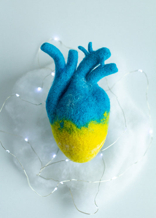 Anatomical heart in the color of the ukrainian yellow-blue flag