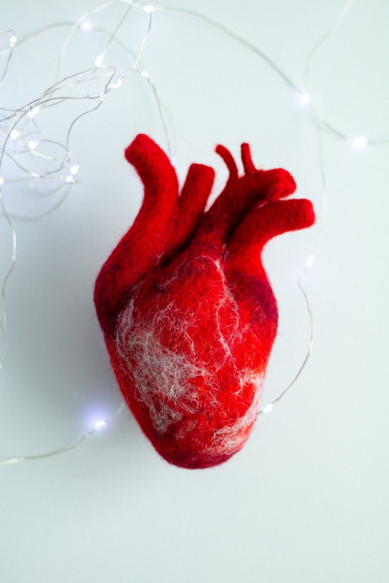 Anatomical heart Valentines day gift - WoollyFox