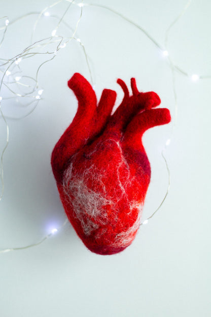 Anatomical heart Valentines day gift - WoollyFox