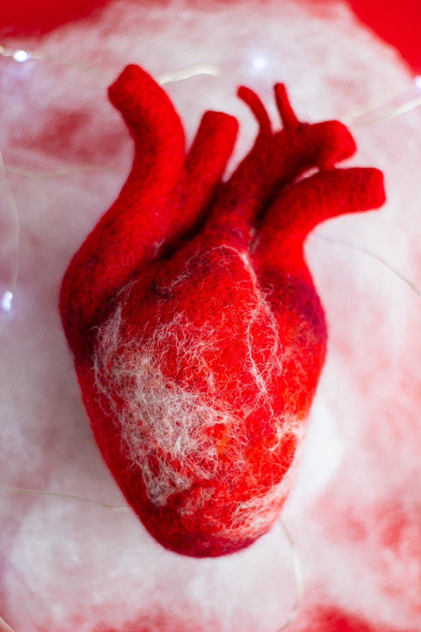 Anatomical heart Valentines day gift - WoollyFox