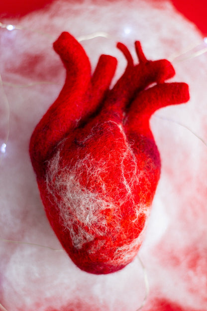 Anatomical heart Valentines day gift - WoollyFox