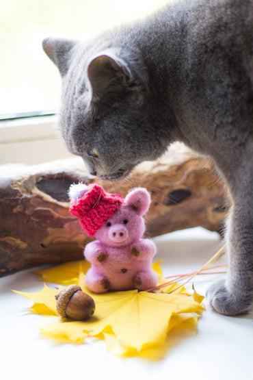 Felt Pig Ornament - WoollyFox