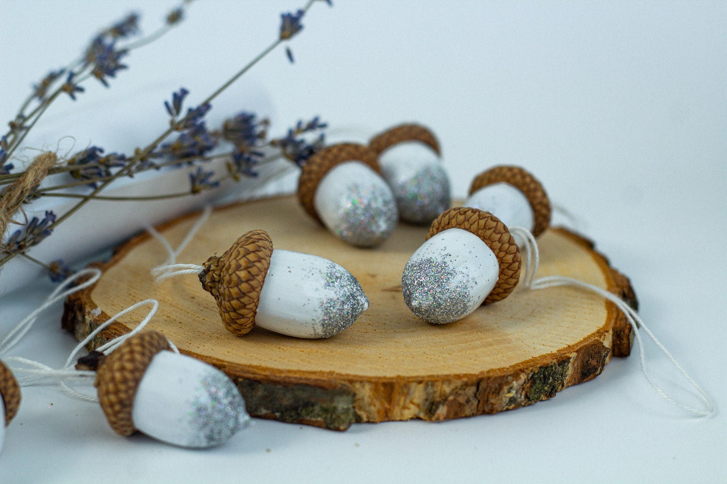 Hand Painted Acorns Set - WoollyFox