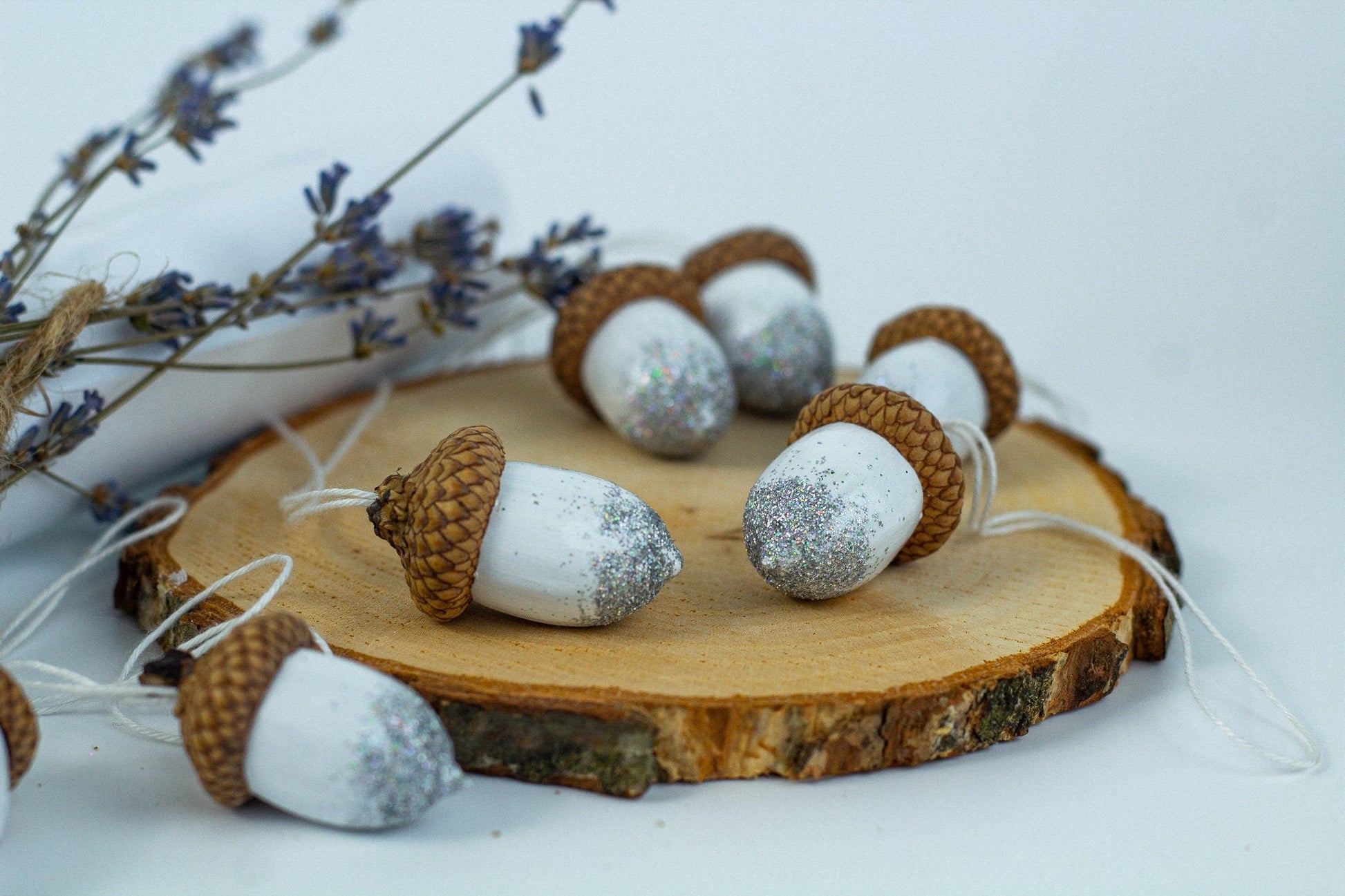 Hand Painted Acorns Set - WoollyFox