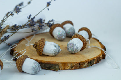 Hand Painted Acorns Set - WoollyFox