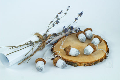 Hand Painted Acorns Set - WoollyFox