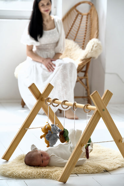 Hanging Baby Gym Toys - WoollyFox