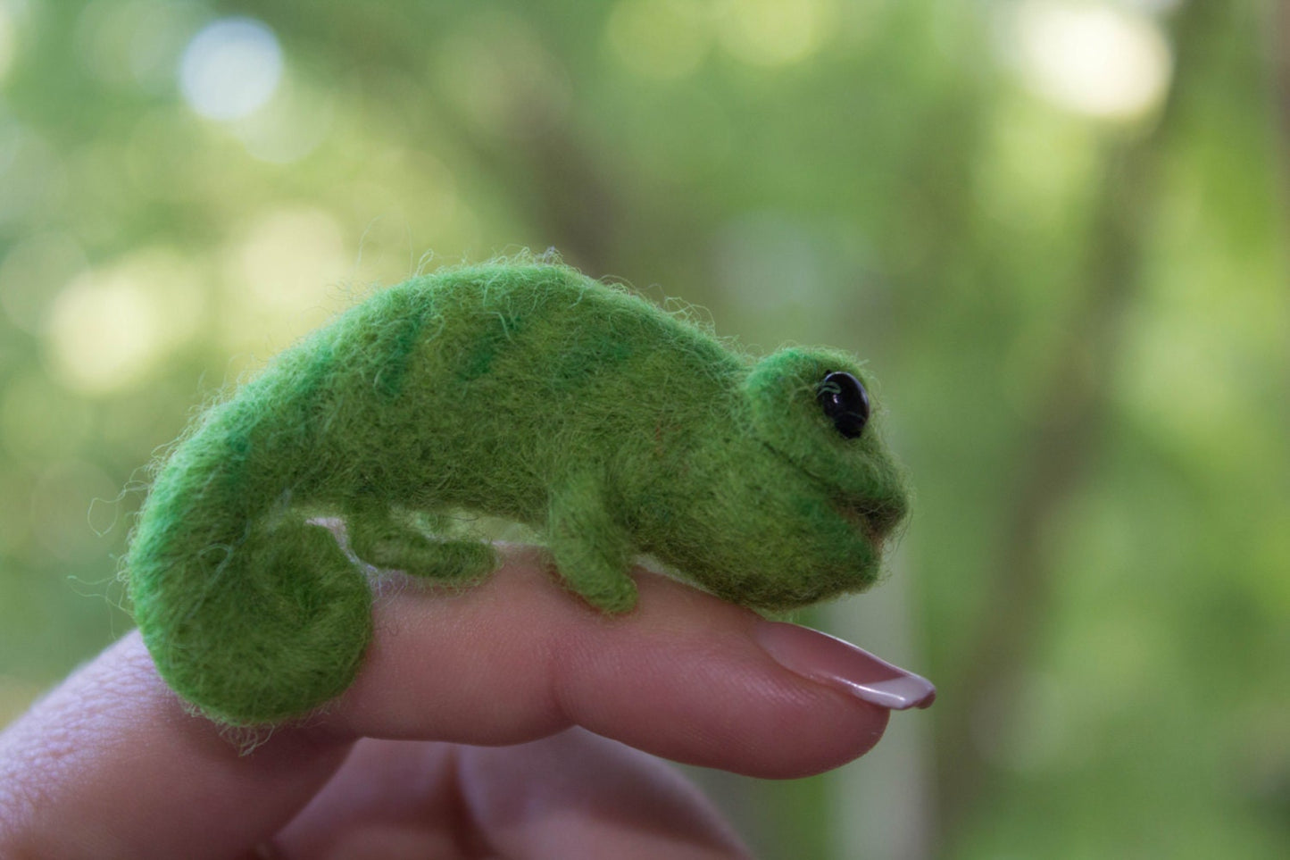 Miniature wool chameleon