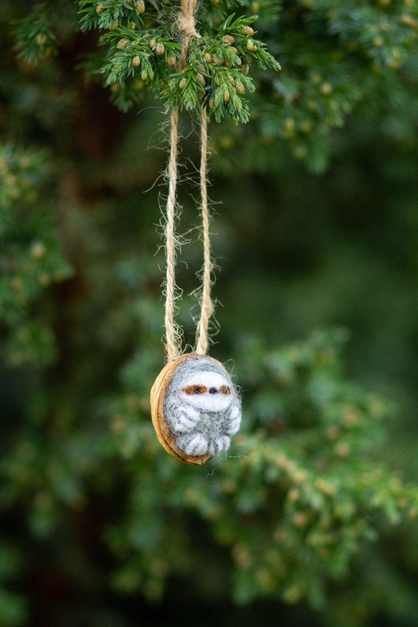 Needle felted sloth christmas ornament Wool sloth in real nut shell