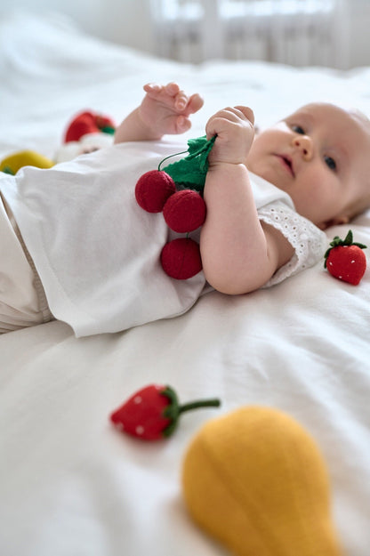 Large Set of Toy Fruits - WoollyFox