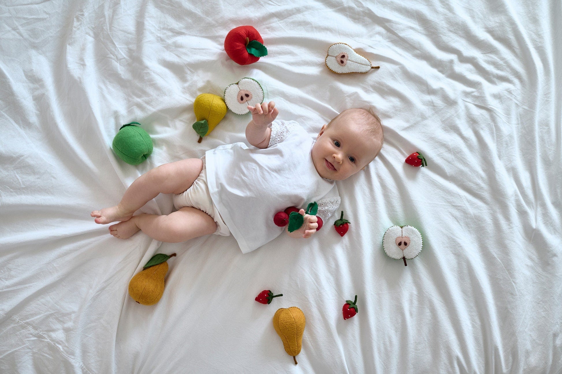 Large Set of Toy Fruits - WoollyFox