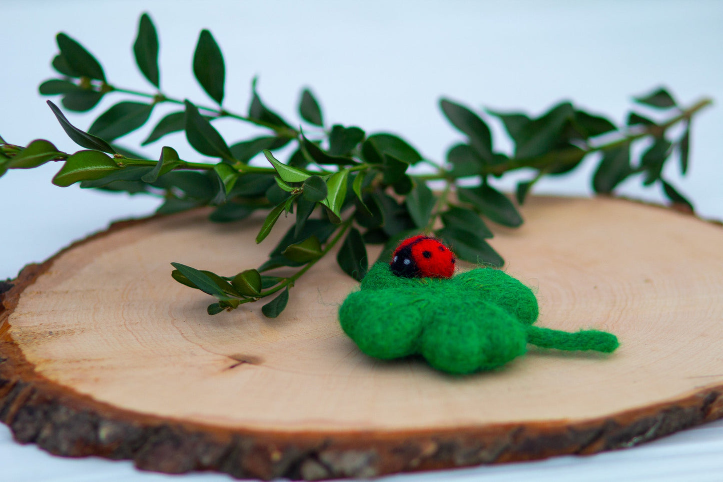 St. Patrick's Day Four - Leaf Clover - WoollyFox